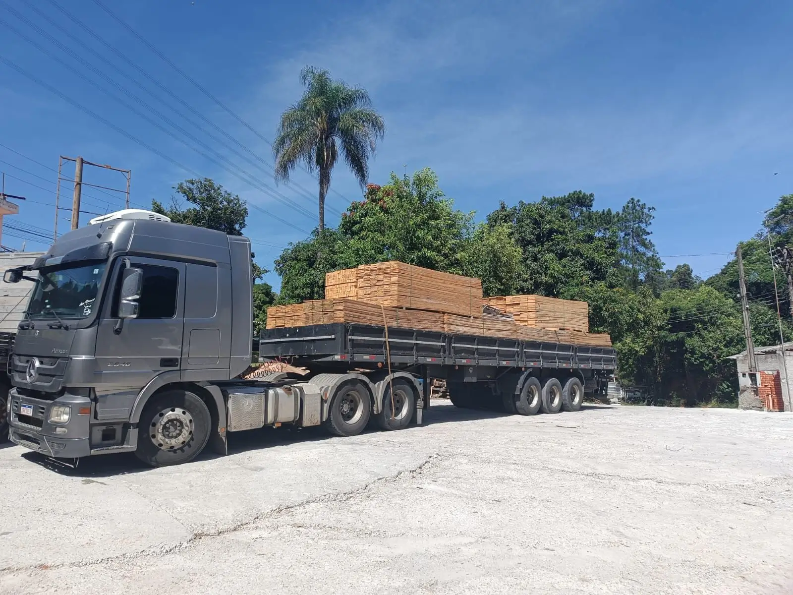 Logística Tabuado Pinus